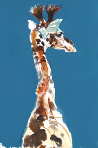 Baby-Masai-Giraffe von Mark Adlington