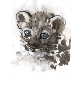 Blaue Augen (Arabischer Leopardenjunges), 2008 von Mark Adlington