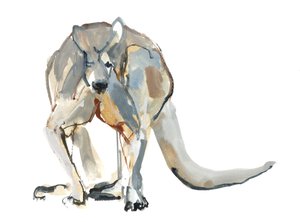 Boxer (Roter Känguru), 2012 von Mark Adlington