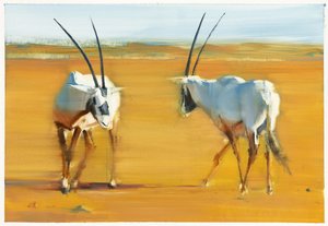 Kreisende Arabische Oryx von Mark Adlington