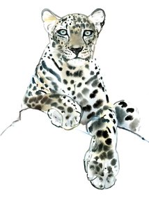 Direkt (Arabischer Leopard), 2015 von Mark Adlington