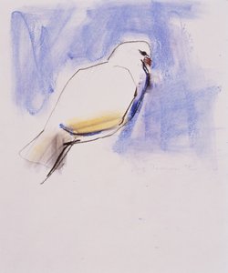 Taube, Trasierra, 1998 von Mark Adlington