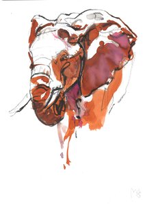 Elefantenkopfstudie II von Mark Adlington