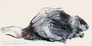 Europäischer Biber (Studie) 2001 von Mark Adlington