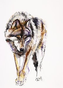 Europäischer Wolf
