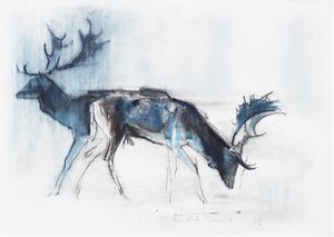 Hirsche in Richmond, 2006 von Mark Adlington