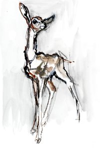 Gerenuk-Kitz, Sarara, 2018 von Mark Adlington