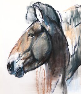 Kopfstudie, Przewalski, 2013 (Detail) von Mark Adlington