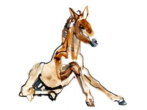 Ockerfohlen (Przewalski), 2013