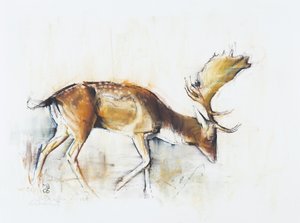 Pisanello Hirsch, 2006 von Mark Adlington