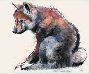Polnischer Wolfswelpe, 2001