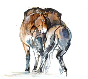 Macht-Tanz (Przewalski), 2013 von Mark Adlington