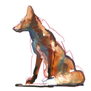 Pyramidenfuchs