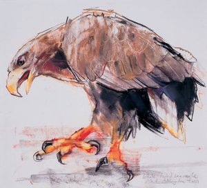 Raubvogel, 2001 von Mark Adlington