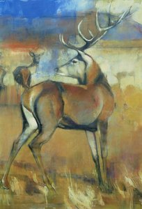 Rothirsch (Detail) von Mark Adlington