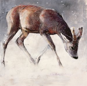 Rehbock, Winter, 2000 von Mark Adlington