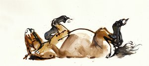 Rollendes Pferd (Przewalski), 2013 von Mark Adlington