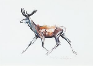 Laufender Hirsch im Samt, Polsen, 2006 von Mark Adlington