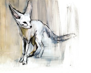 Sandfuchs, 2009 von Mark Adlington