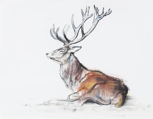 Sitzender Hirsch, 2006 von Mark Adlington