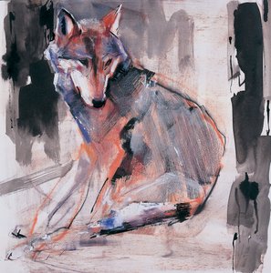 Sitzender Wolf, 2000