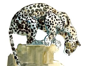 Wirbelsäule (Arabischer Leopard), 2015 von Mark Adlington