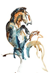 Spirit (Przewalski), 2013 von Mark Adlington