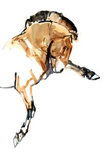 Hengst (Przewalski), 2013 (Sennelier-Tinte, Aquarell und Gouache) von Mark Adlington