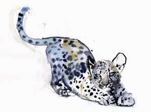 Dehnendes Jungtier (Arabischer Leopard), 2008