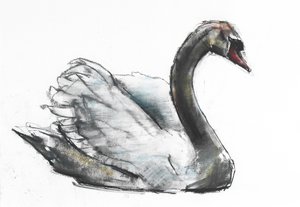 Schwan