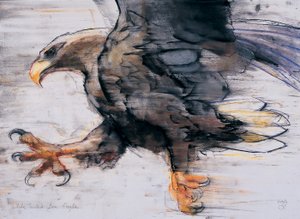 Krallen - Seeadler, 2001 von Mark Adlington