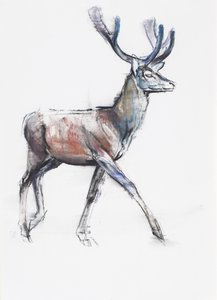 Samt, 2006 von Mark Adlington
