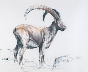 Venerando Stambecco, 2006 von Mark Adlington