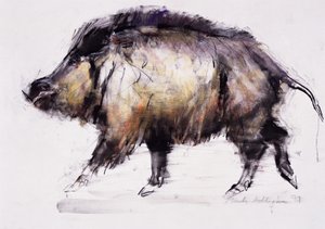 Wildschwein, 1999 von Mark Adlington