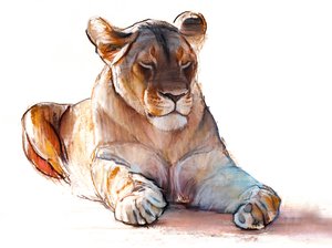 Yogi-Löwin, 2019 von Mark Adlington