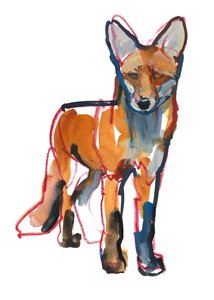 Junger Fuchs, 2021