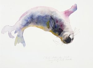 Junger Kegelrobbe, Gweek, 2003 von Mark Adlington