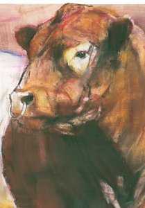 Zeus, Red Belted Galloway Bull, 2006 (Detail) von Mark Adlington