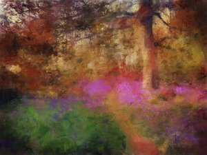 Blaue Glockenblumen bei Calke Abbey