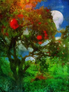 Obstgarten im Mondlicht