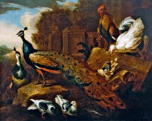 Pfauen, Tauben und andere Vögel und ein klassisches Gebäude von Marmaduke Craddock
