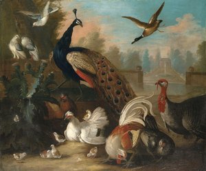 Ein Pfau und andere Vögel in einer ornamentalen Landschaft von Marmaduke Cradock