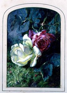 Rosen und ein Marienkäfer auf einem moosigen Ufer