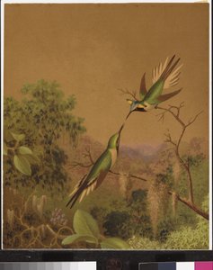 Brasilianische Kolibris IV von Martin Johnson Heade