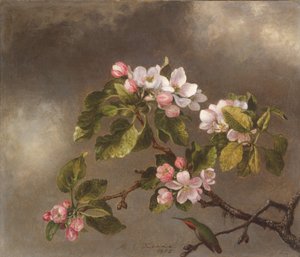 Kolibri und Apfelblüten, 1875