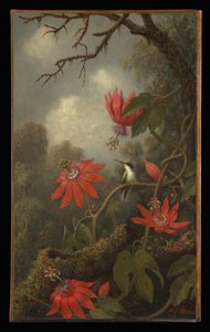  von Martin Johnson Heade