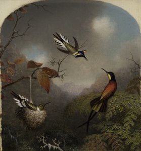 Kolibris: Zwei Sonnenjuwelen und ein Purpur-Topas, 1866 von Martin Johnson Heade