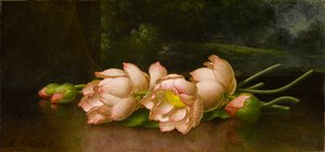 Lotusblumen: Eine Landschaftsmalerei im Hintergrund von Martin Johnson Heade