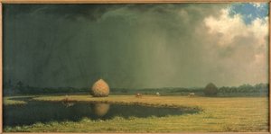 Salzmarsh-Heu