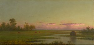 Salzwiese in Southport, Connecticut